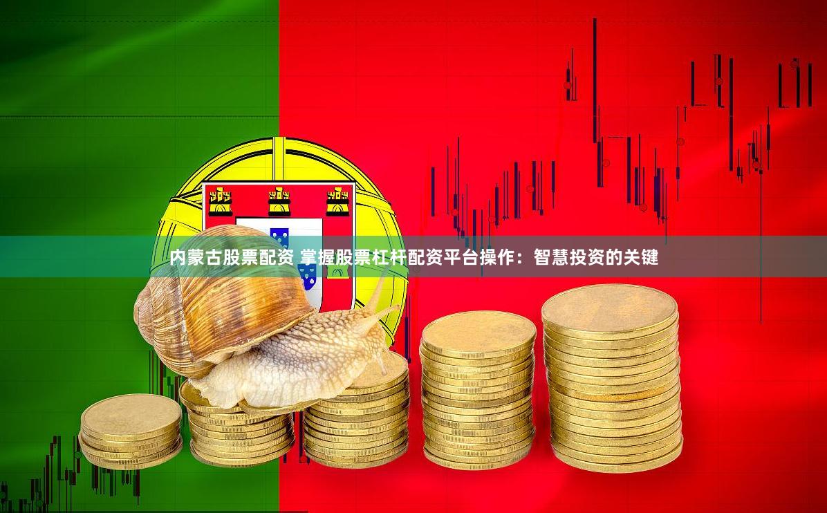 内蒙古股票配资 掌握股票杠杆配资平台操作：智慧投资的关键